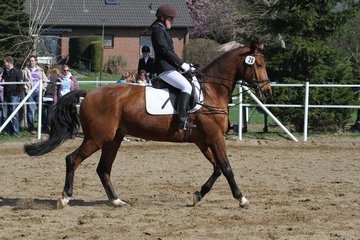 Bild 362 - WBO-Turnier am 9.4.11